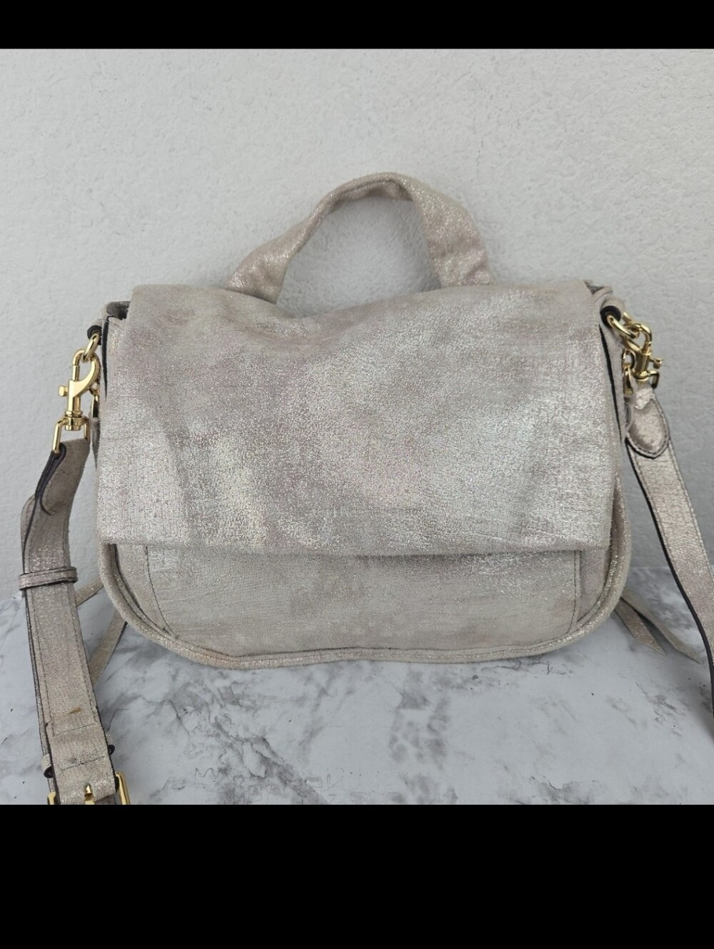 Aimee Kestenberg Metallic Bag